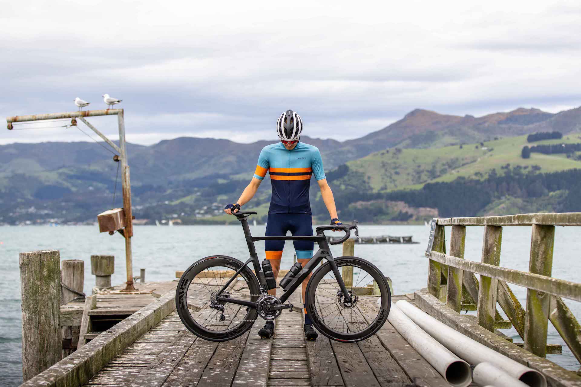 Road runner online mountain bike
